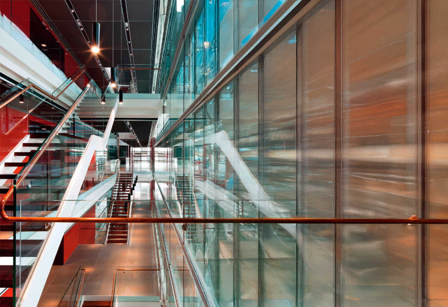 Abelias, 1 4 Abelias, 1 4